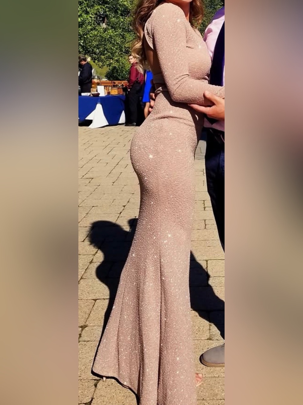 Windsor Sparkling Blush Maxi Dress